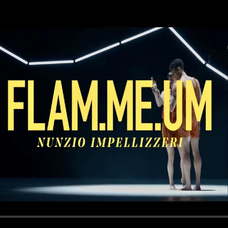 FLAM.ME.UM trailer is out!